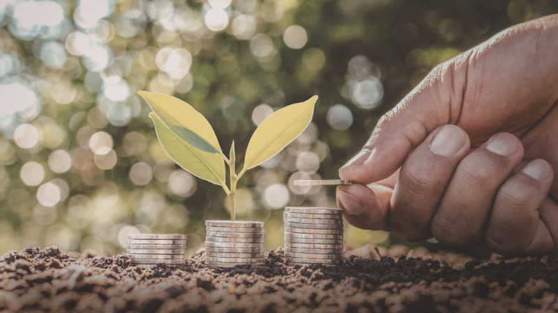 cara investasi saham